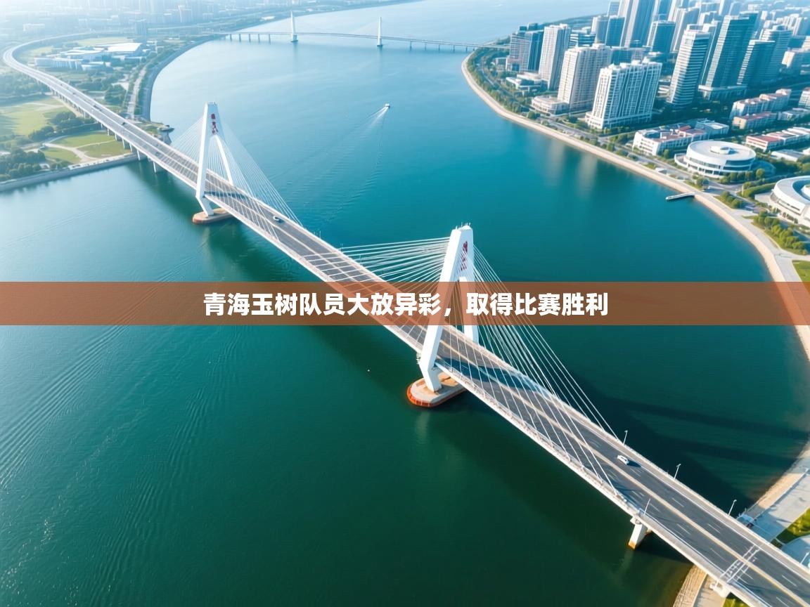 青海玉树队员大放异彩，取得比赛胜利  第1张